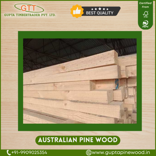 Australian Pine Wood Usage Furniture at Best Price in New Delhi