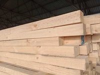 Australian Pine Wood
