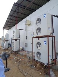 Mushroom Cold Room