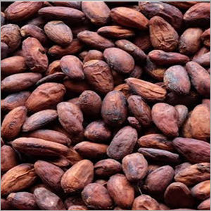 Brown Cocoa Beans