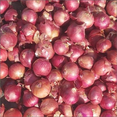 Natural 65 Mm Red Onion