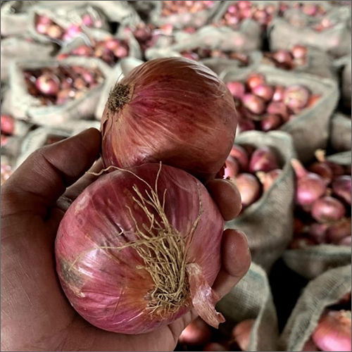 Fresh Pink Onion