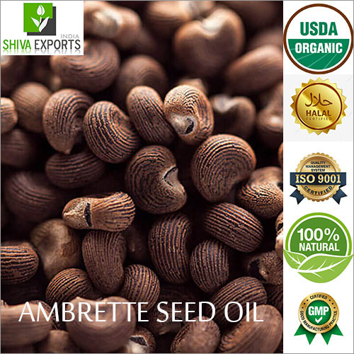 Ambrette Seed Oil By SHIVA EXPORTS INDIA