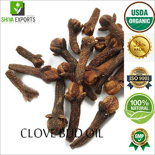 Clove Bud Oil By SHIVA EXPORTS INDIA