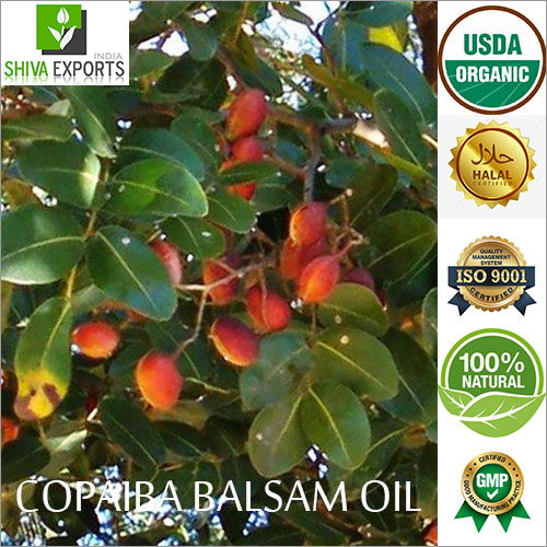 Copaiba Balsam Oil By SHIVA EXPORTS INDIA