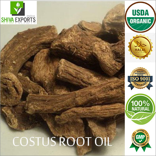 Custus Root Oil By SHIVA EXPORTS INDIA