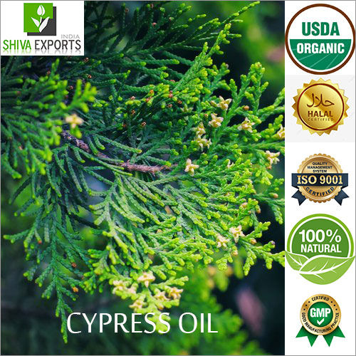 Cypress Oil