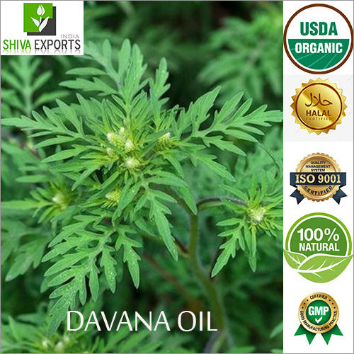 Davana Oil