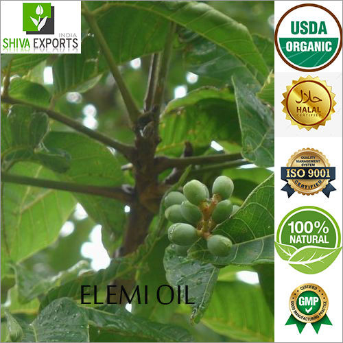 Elemi Oil