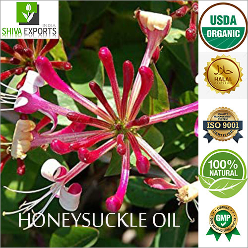 Honeysuckle Oil By SHIVA EXPORTS INDIA