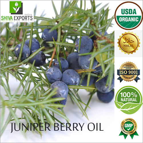 Juniper Berry Oil By SHIVA EXPORTS INDIA