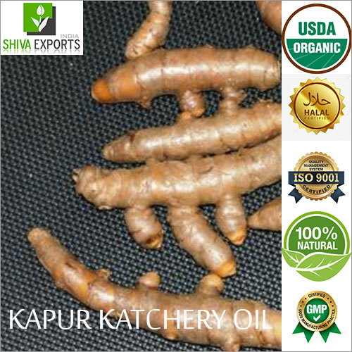 Kapur Katchery Oil