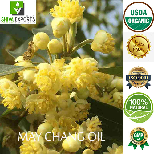 May Chang Oil