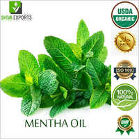 Mentha Oil