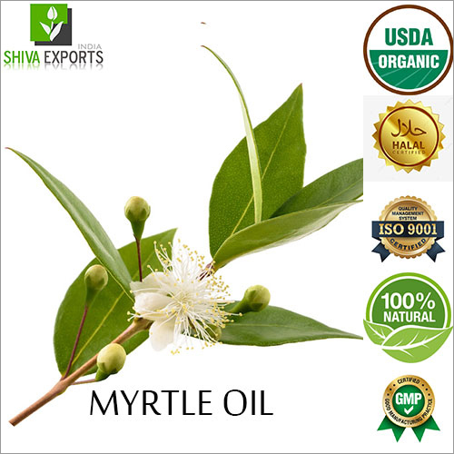 Myrtle Oil By SHIVA EXPORTS INDIA