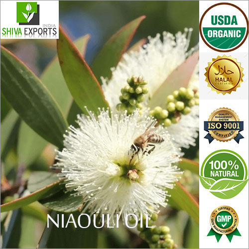 Niaouli Oil