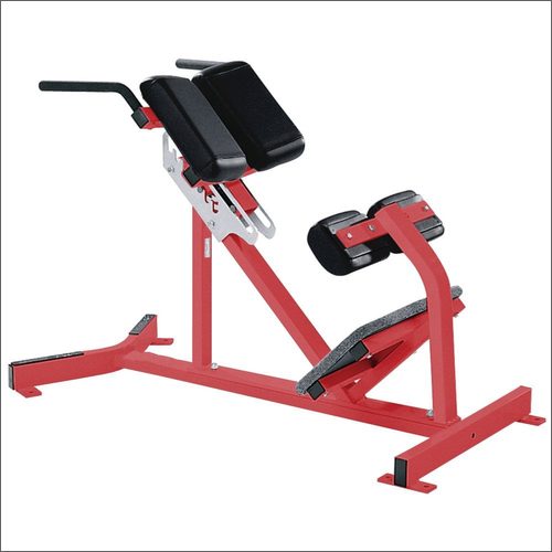 Gym Back Exercise Machine By RIGID FITNESS EQUIPMENT