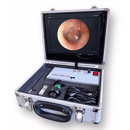 Medical Portable Endoscopy System