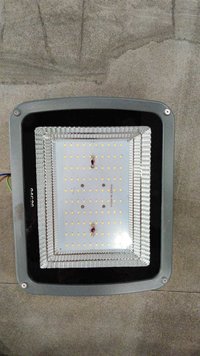 100W Flood Light