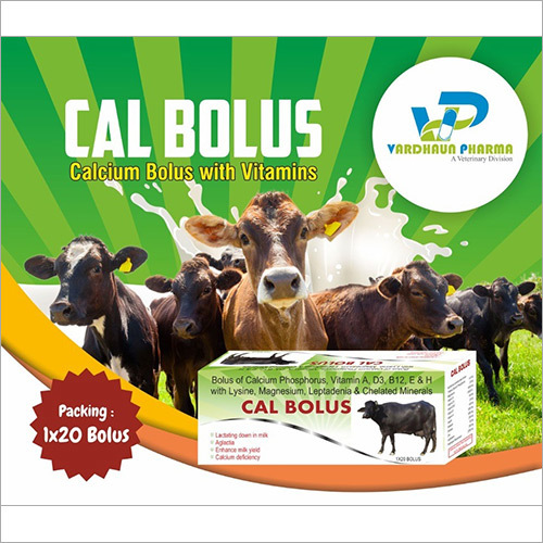 Cal Bolus