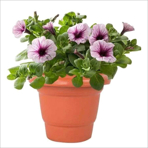 Plastic Flower Pot