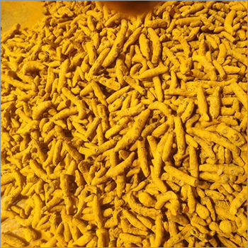 Fresh Turmeric Finger