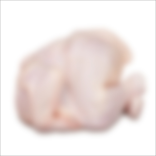 Fresh Frozen Chicken By GLOBAL TRADING CORPORATION UK LIMITED