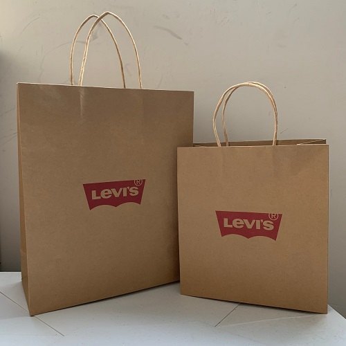 Shopping Paper Bags By KAMTRONICS TECHNOLOGY PRIVATE LIMITED
