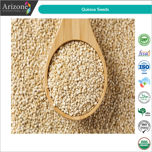 Quinoa Seeds / Chenopodium Quinoa