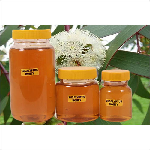 Eucalyptus Honey