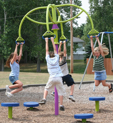 Hanging  Merry Go Round