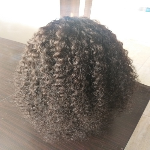 Virgin Indian Curly Hair wig