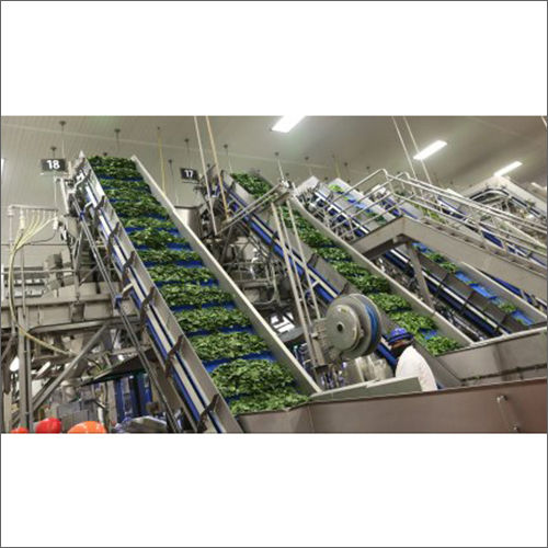 Fruit Processing Machinery