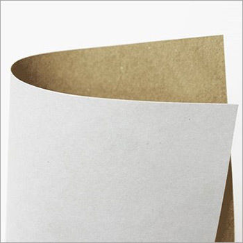 Recycled Coated White Top Kraft Liner