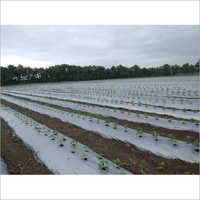 Silver Mulching Film