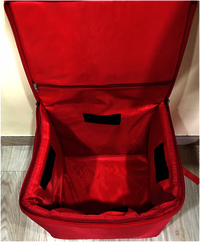 Insulated Bag with gel pack and outer corrugated box