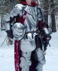 Knight Suit of Armor W/Tunic Wearable Halloween Costume