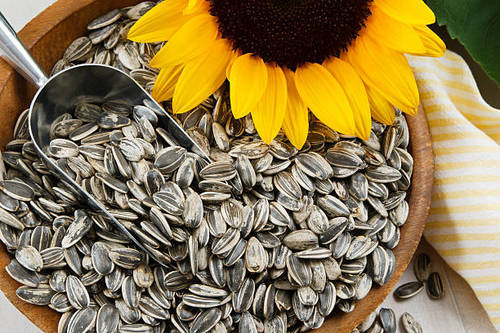 Sunflower Seeds By MONTE CRISTO ENTERPRISES LTD