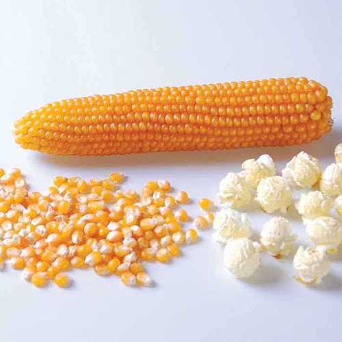 Pop Corn