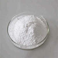 Navyug Sodium Benzoate Powder