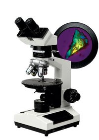ConXport  Polarizing Microscope