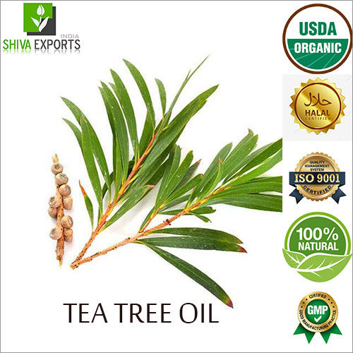 Tea Tree Oil