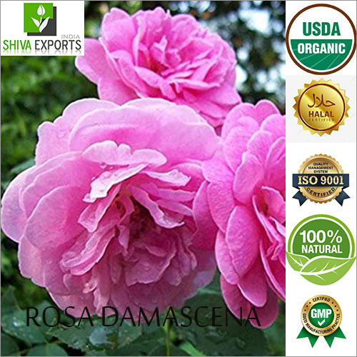 Rosa Damascena Oil