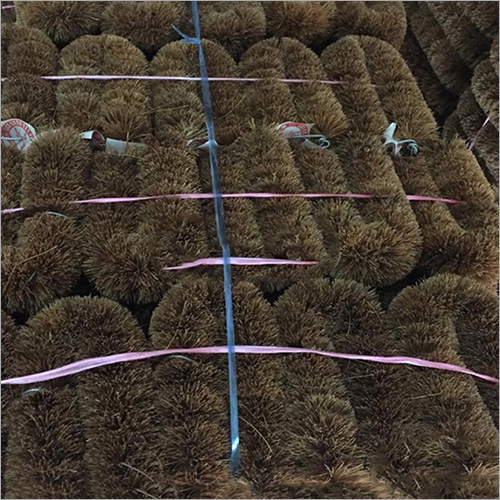 Anti-bacterial Coir Bristle Fibre