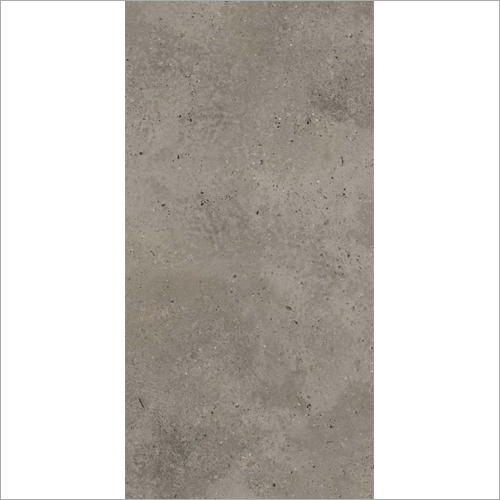 60 x 120 cm Fantastico Grey Glazed Vitrified Tiles
