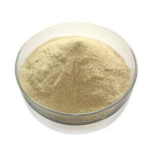 Maca Extract 0.6% Macamides - Beige Powder, 99% Purity | High Potency, Natural Source, Dietary Supplement