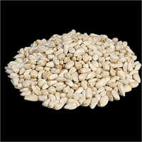 American Saffron Seeds