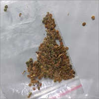 Red Aloe Vera Seeds
