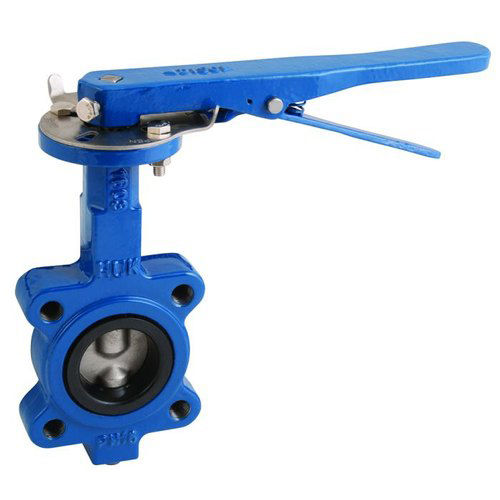 Butterfly Valve Application: Industrial