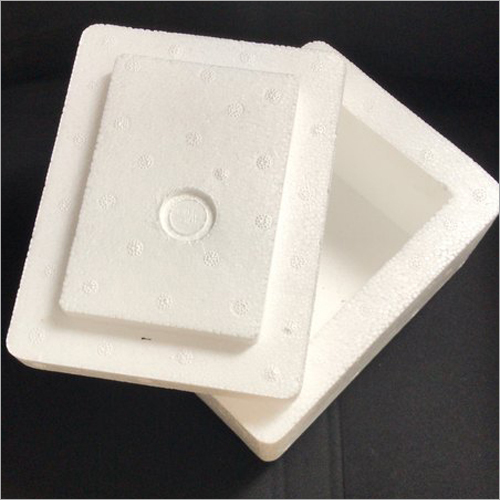 Thermocole Box for Medicine Packaging